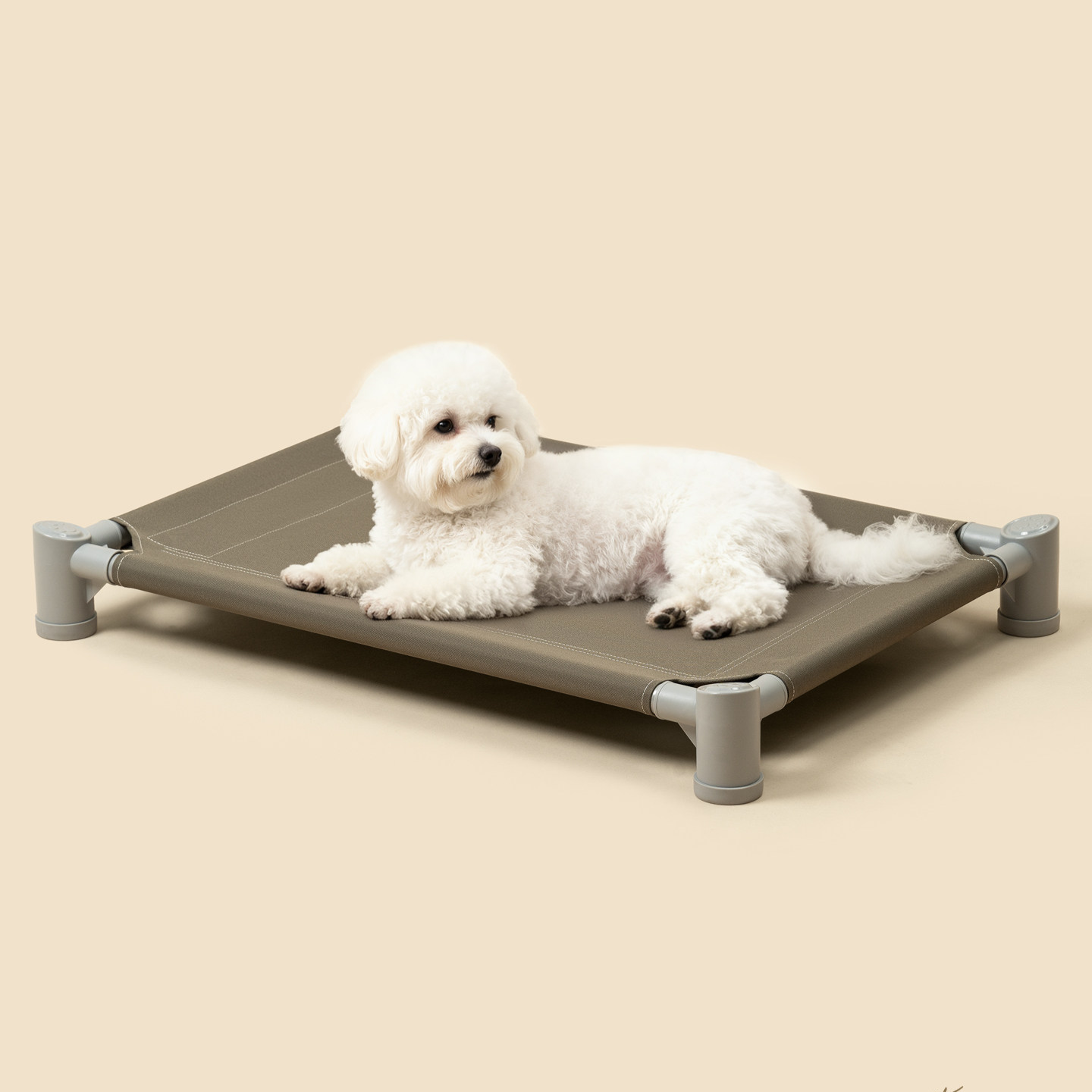 Elevated Oxford fabric camp bed for dogs, main product photo