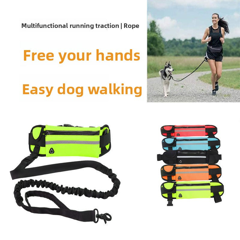 Running dog leads with waist belt in five colours