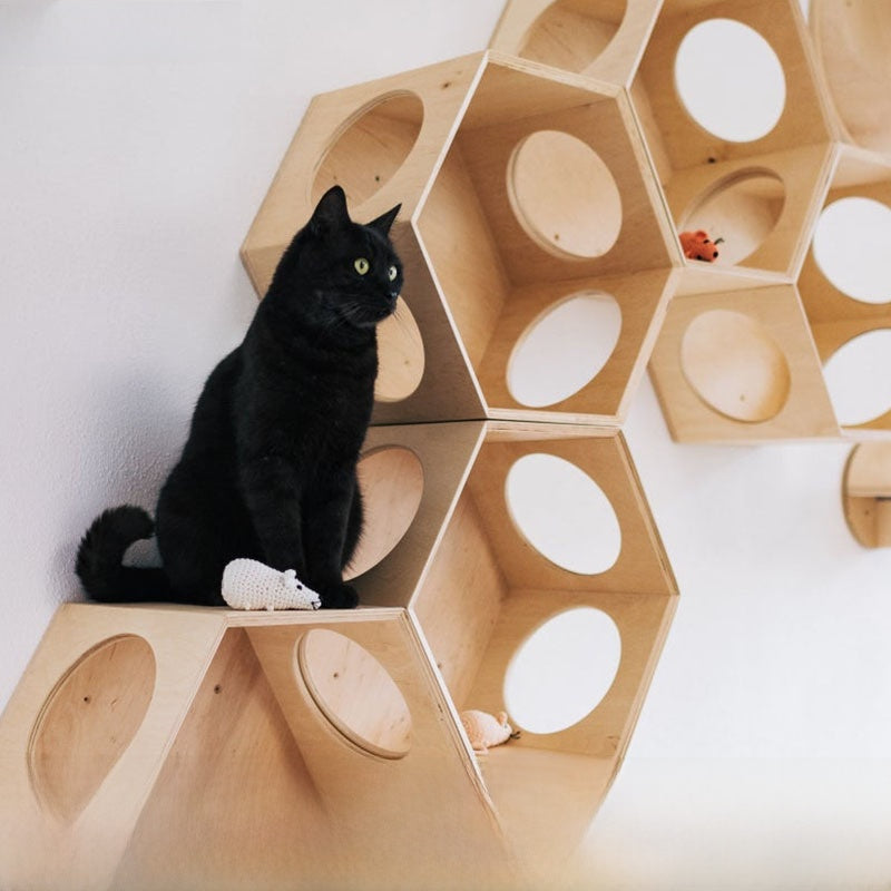 Solid pine wall-mounted cat perch with polished finish
