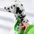 Reflective bungee dog lead in fluorescent green with metal clip