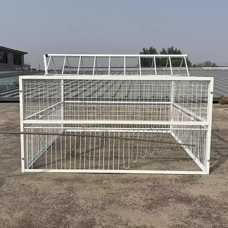 White metal pigeon loft cage with automatic entry trap door, view 1