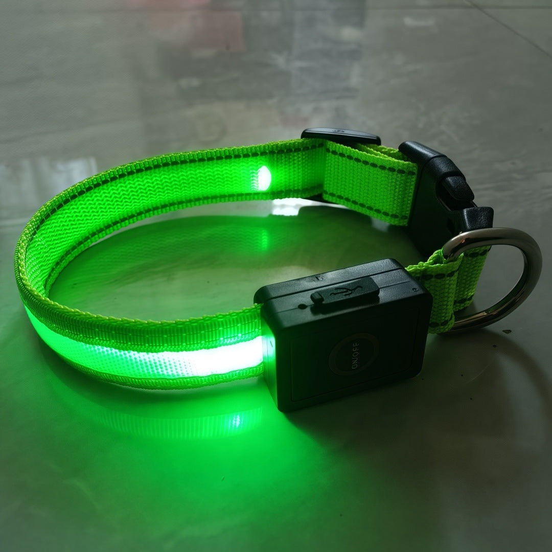 LED light up dog collar with breakaway buckle in Red, in use with a pet