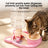 Automatic Cat Water Dispenser