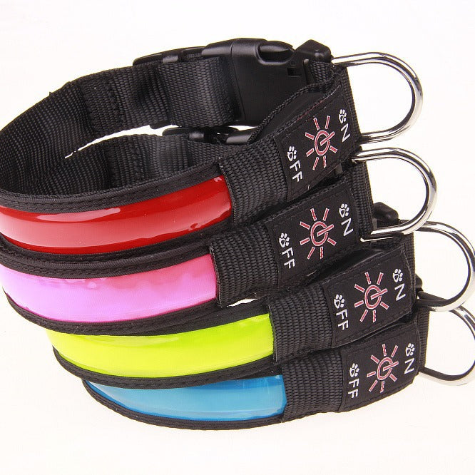 USB rechargeable LED dog collar glowing red at night