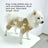Flannel bear hoodie onesie for dogs and cats in White, front view