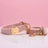 Soft velvet dog collar with metal buckle, 4 sizes available