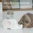 Ceramic Pet Water Dispenser Bowl with Glass Bottle and Anti-Tip Base for Cats