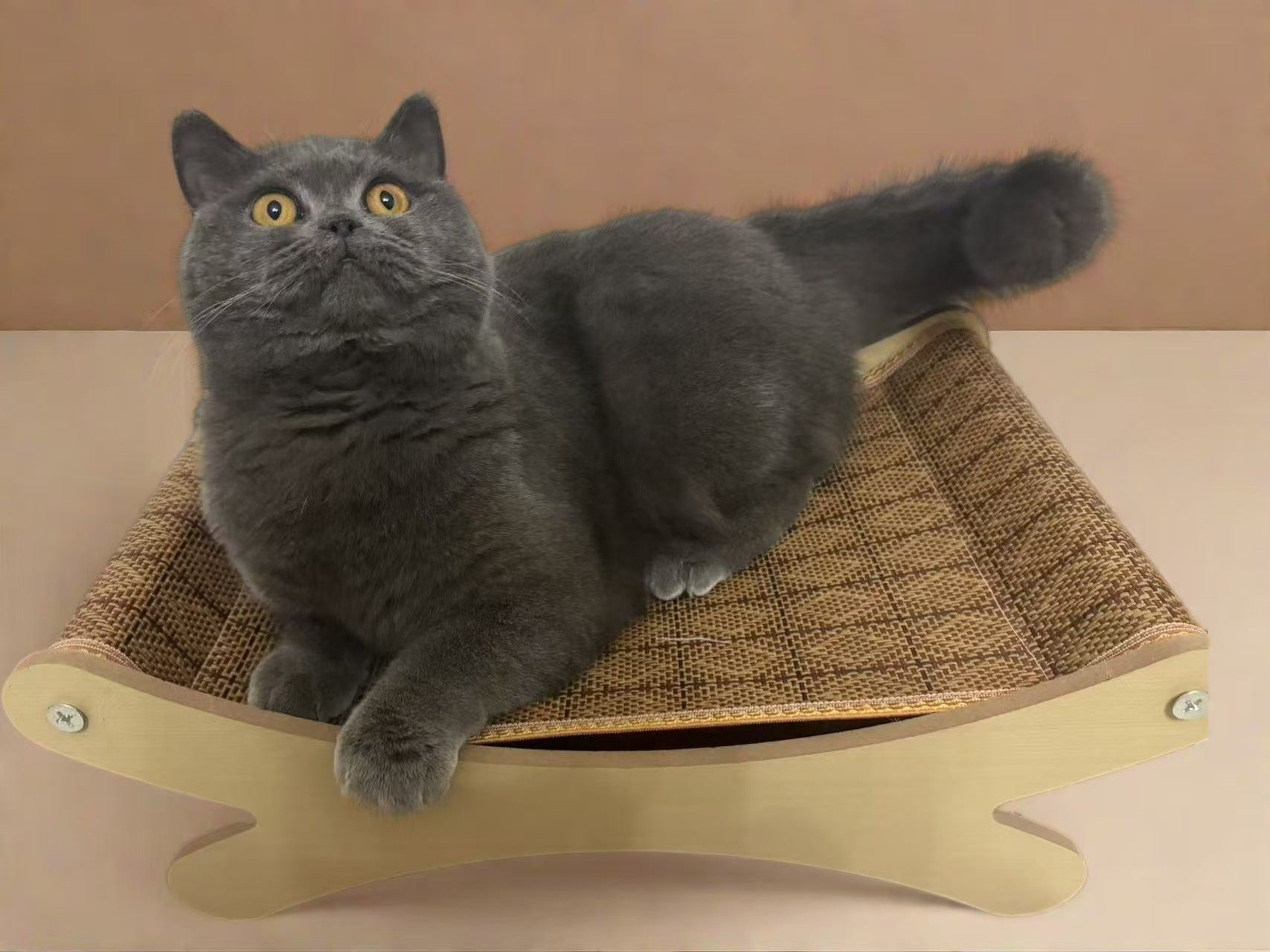 Scratch-resistant pet sofa for cats and small dogs, photo 9 of 15