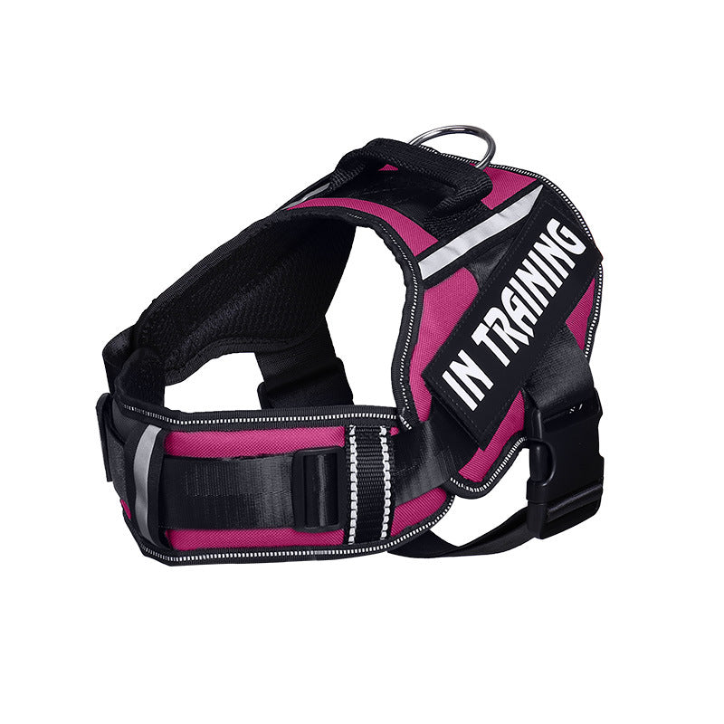 Reflective air mesh dog harness, ideal for everyday use