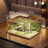 Clear shatterproof PET desktop fish tank for small fish, view 4