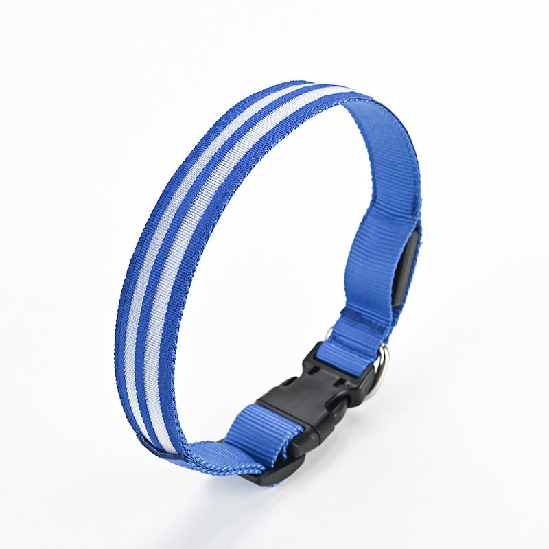 Fibre optic LED dog collar glowing in the dark, product image 4