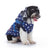 Waterproof padded British style dog winter coat in Dark Grey, top view