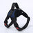 Breathable adjustable dog harness with reflective lead in Union Jack, in use with a pet