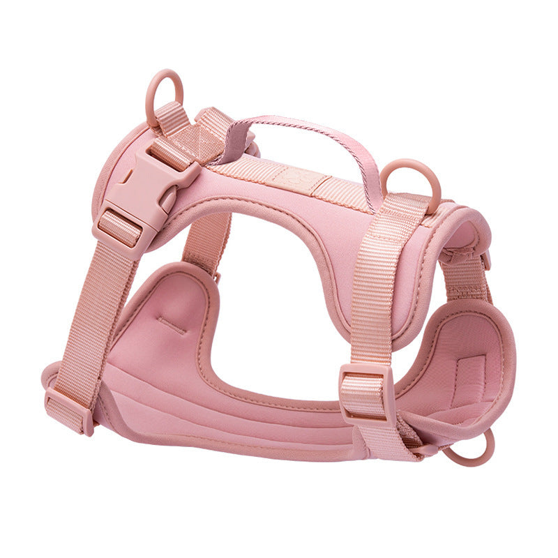 PVC dog harness lead and collar set in bright colours, main product photo