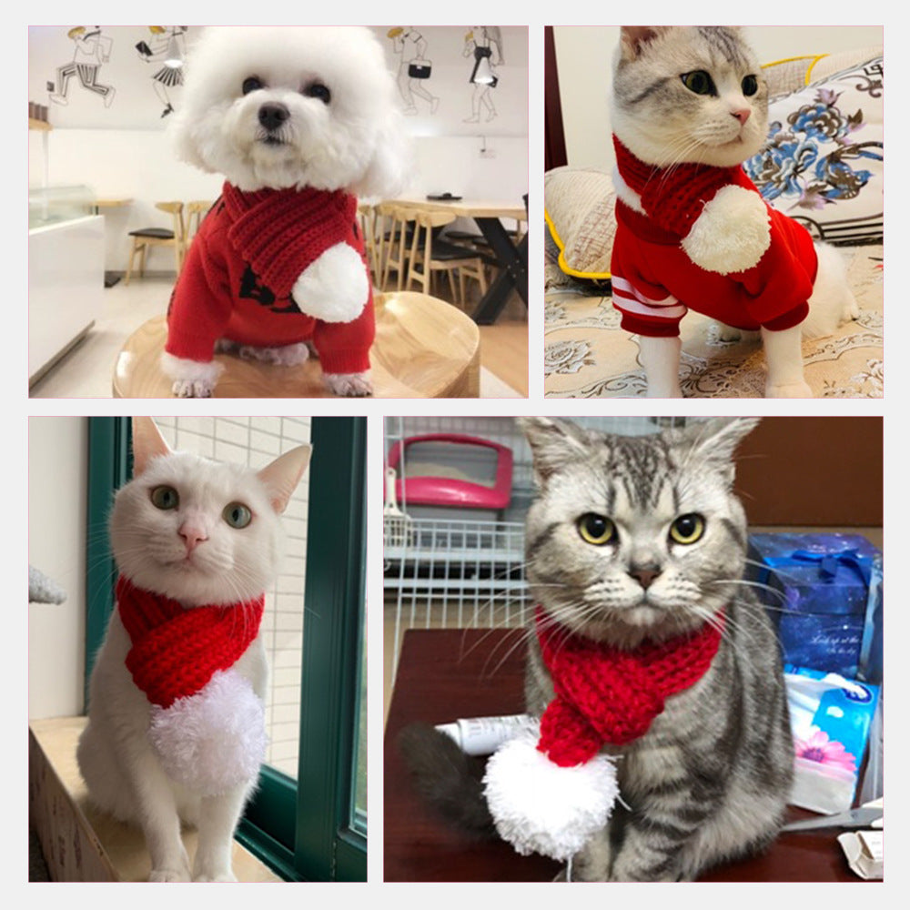 Pet Christmas hat and scarf set on a small dog