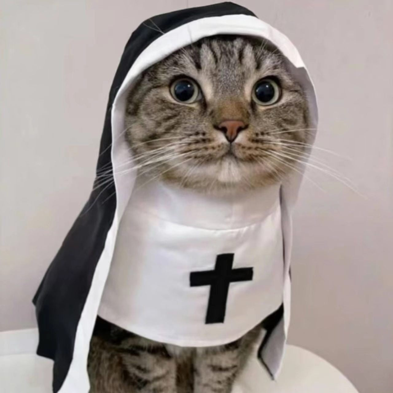 Cat dressed in a gothic nun cloak costume
