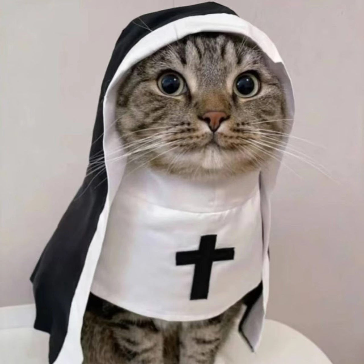Cat dressed in a gothic nun cloak costume