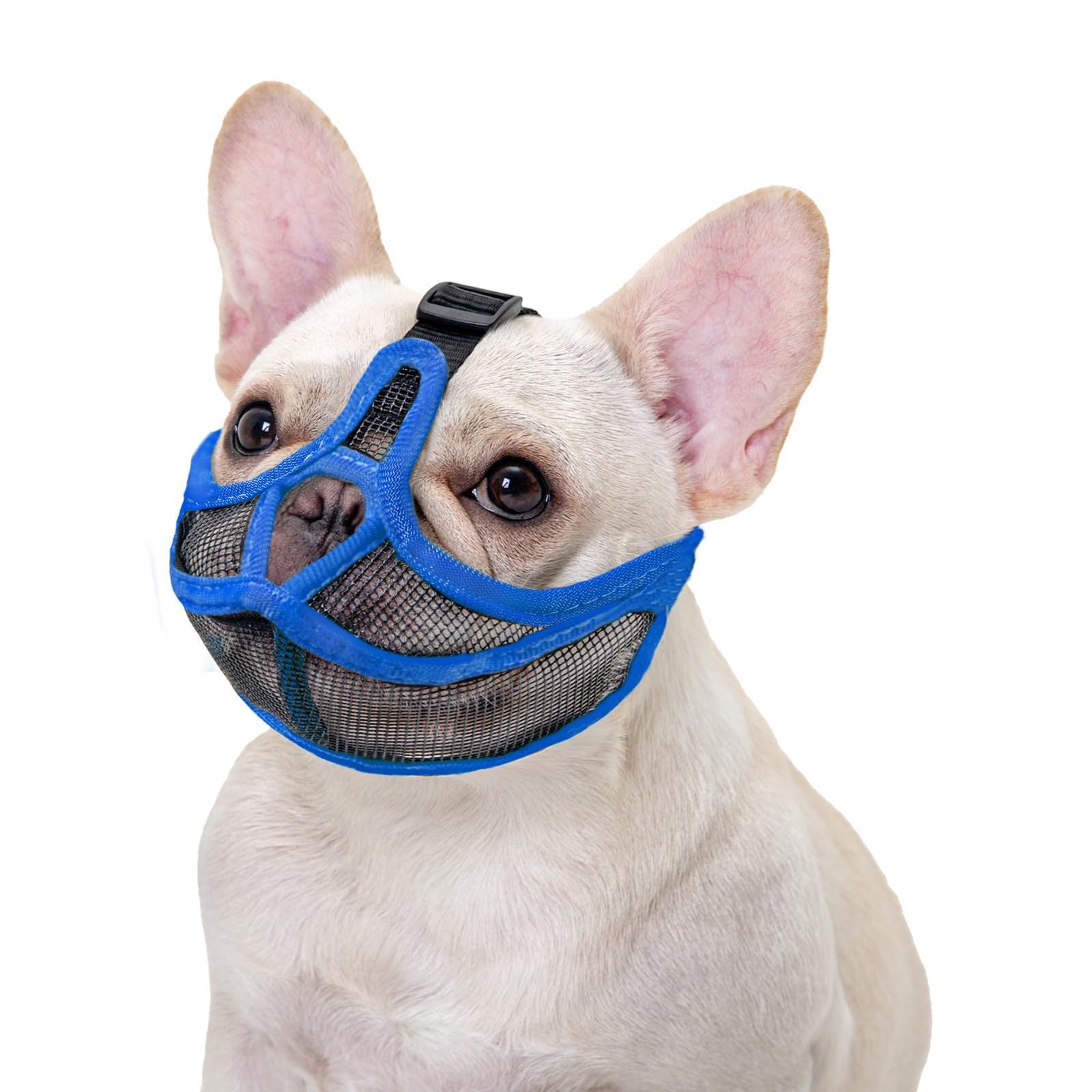 Breathable mesh muzzle for flat-faced dogs, product image 17