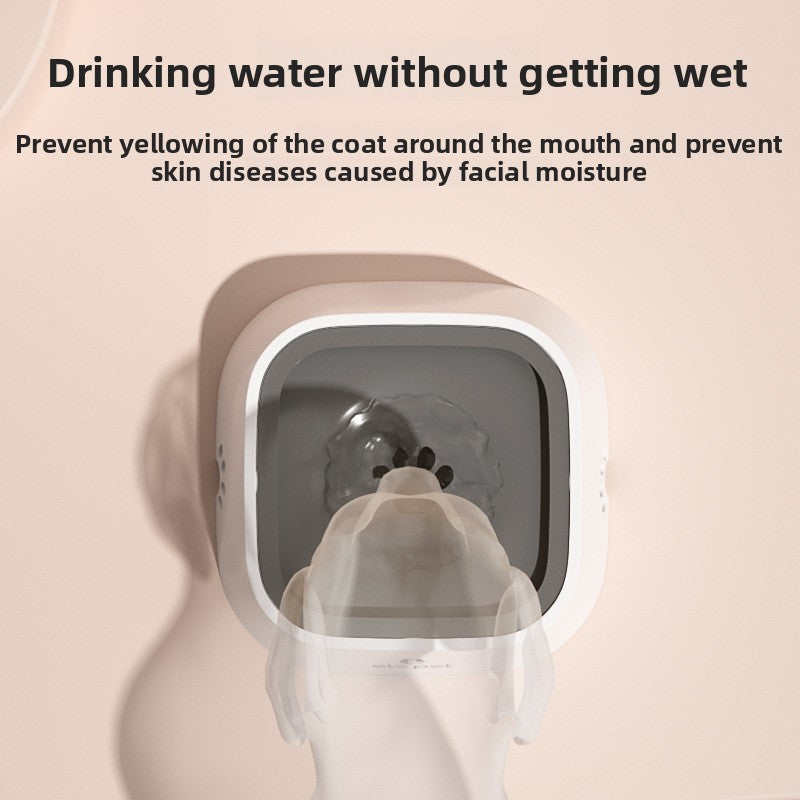 Pet Water Bowl