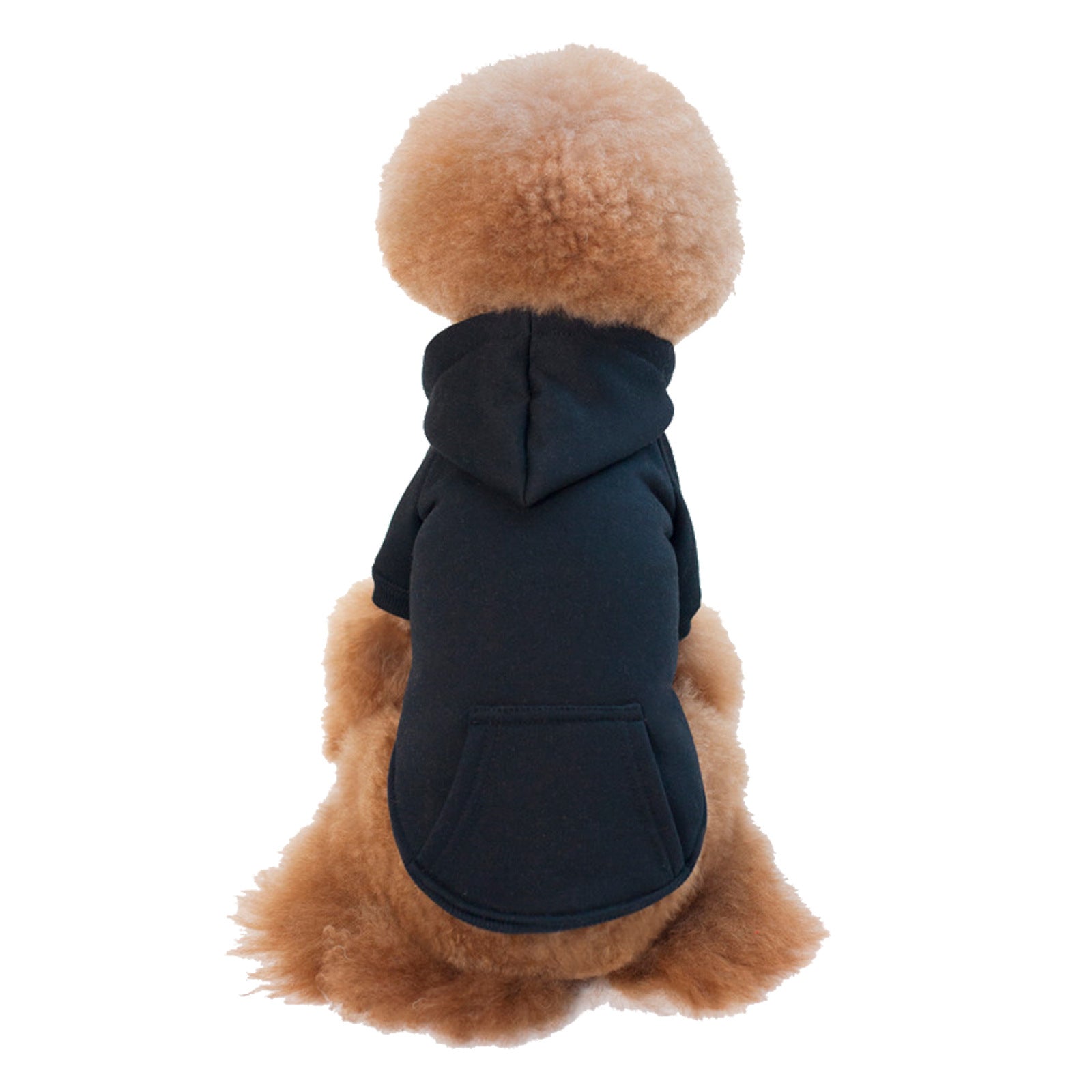Small dog in a navy fleece lined hooded sweatshirt