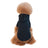 Small dog in a navy fleece lined hooded sweatshirt