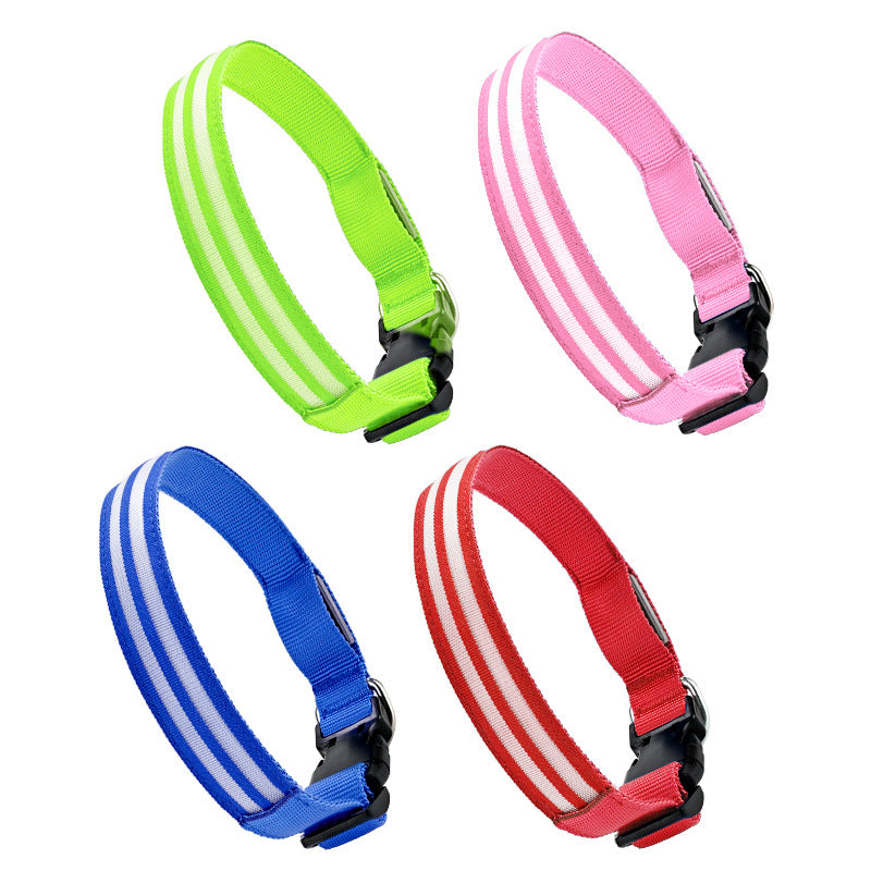 LED light-up dog collar, ideal for night walks
