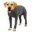 Full body dog suit with back zip, available in 2 colours, image 4