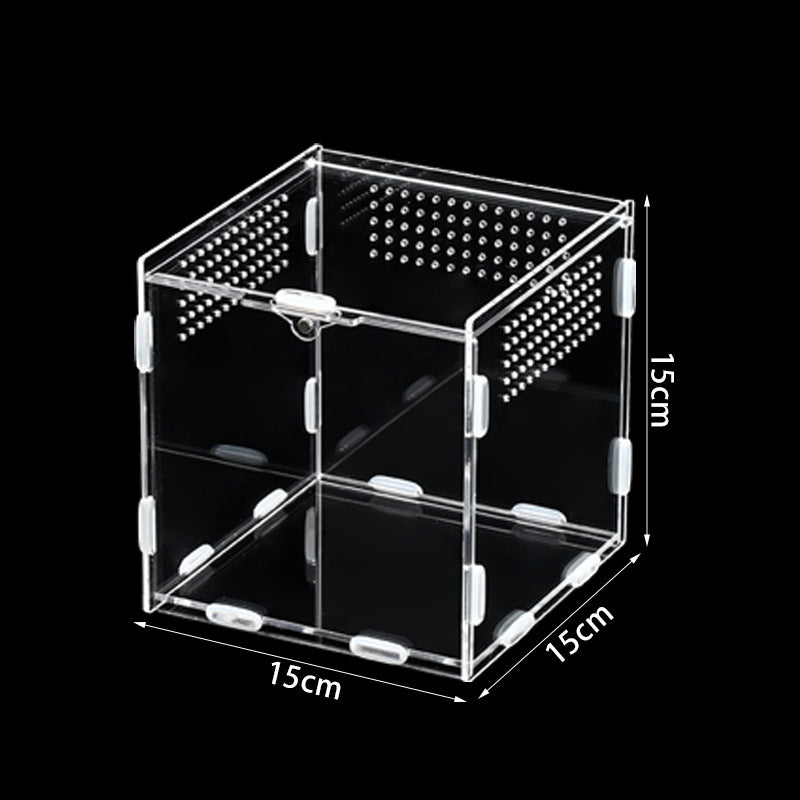 Clear acrylic reptile habitat box, product overview photo
