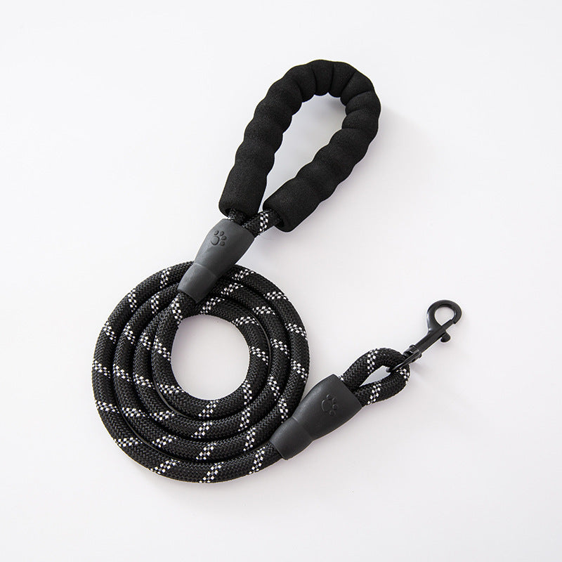 Strong nylon dog walking lead, close-up detail view