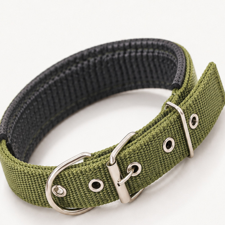 Padded nylon dog collar with foam lining in 10 colour options