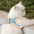 Two tone cat vest harness and lead in green and orange