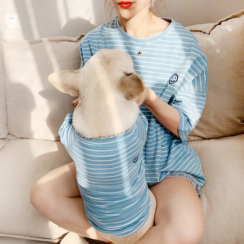 Small dog wearing a striped cotton T-shirt in blue