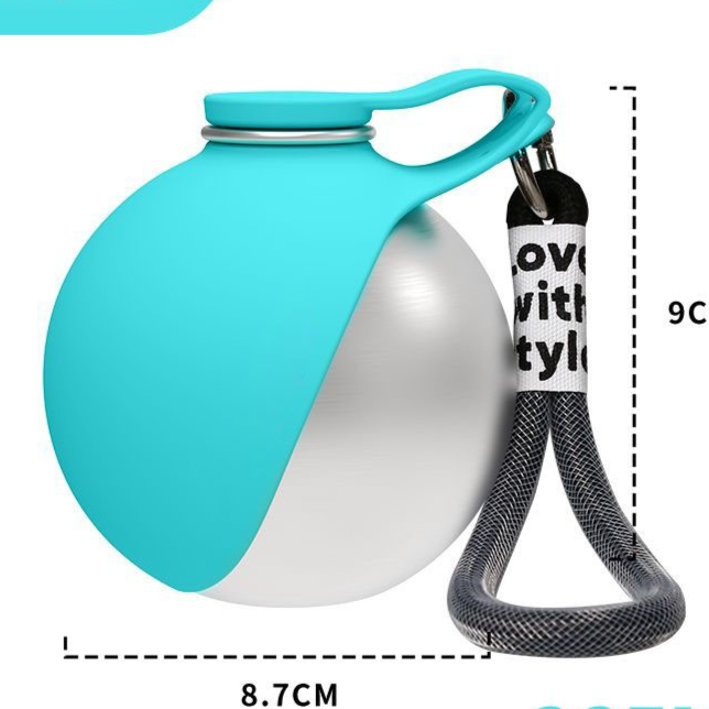 Portable Foldable Stainless Steel Pet Water Bottle with Leakproof Seal for Travel