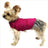 Cotton dog comfort jacket, available in 6 colours, sizes Extra Small to 2XL, image 23