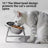 Raised Slanted Stainless Steel Cat Bowl with Anti-Tip Stand for Food and Water