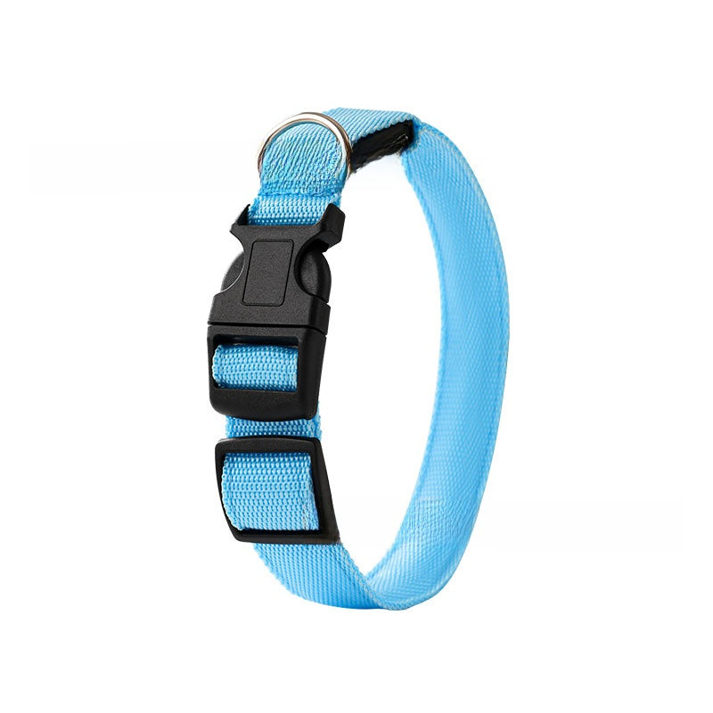 USB rechargeable LED dog collar glowing in bright colour, product image 7