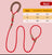 Show-style nylon slip lead for dogs, ideal for everyday use