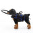 Adjustable blue pet bumper ring harness in polyester, product image 15