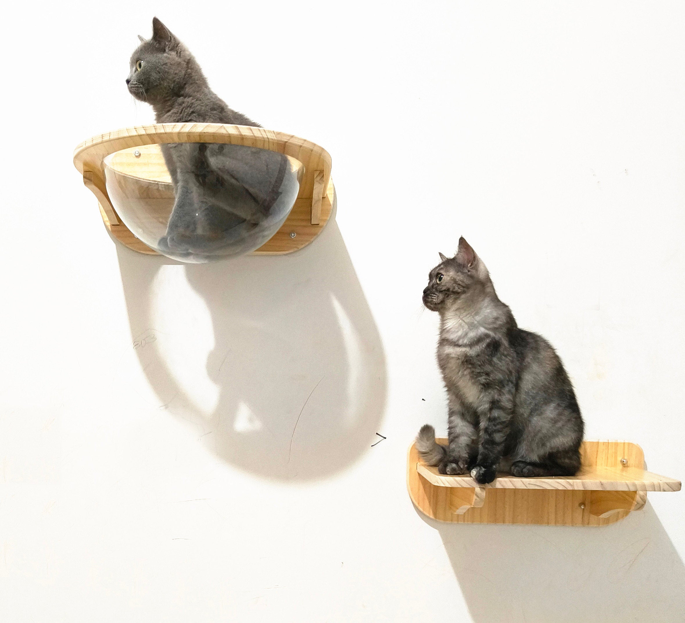 Wall-mounted solid wood cat climbing space capsule module, photo 14