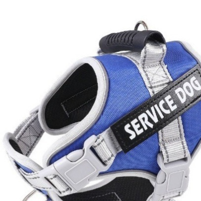 Reflective breathable mesh dog harness, ideal for everyday use