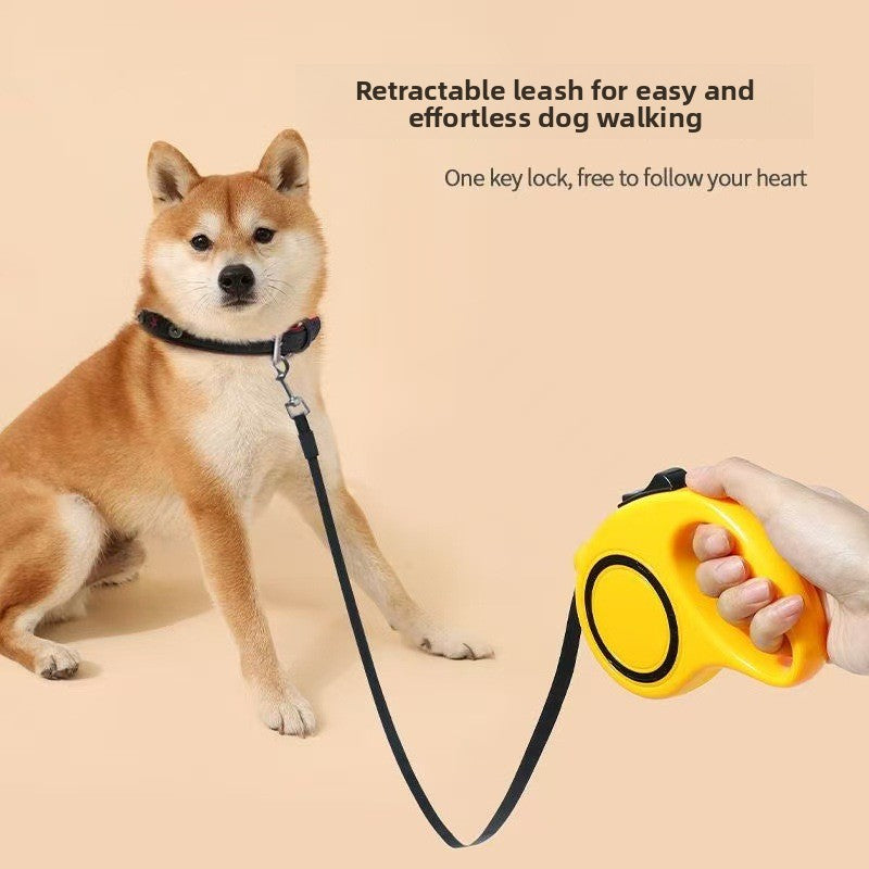Retractable dog lead in black, alternative angle view