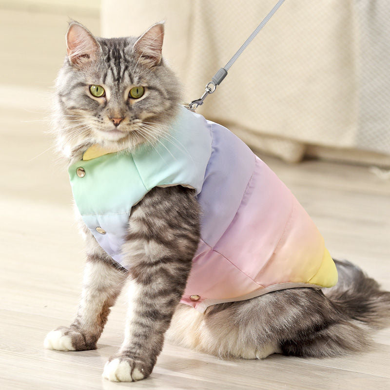 Warm padded cat jacket with lead attachment ring in Grey, close-up detail