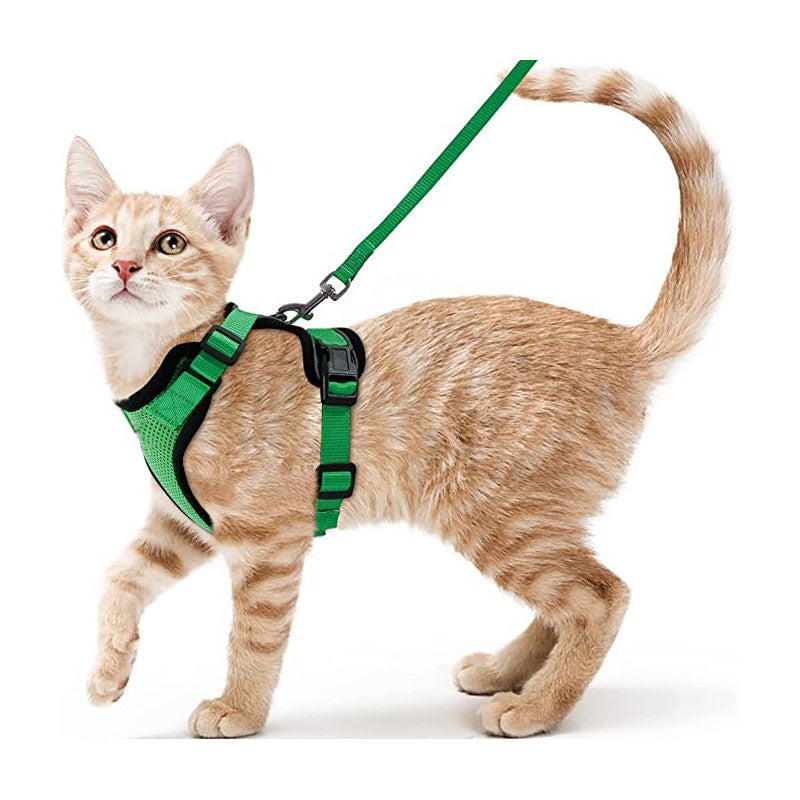 Mesh pet harness sets shown in eleven colours