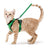 Mesh pet harness sets shown in eleven colours