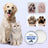 Moisturising Pet Paw Balm for Winter, Blueberry or Coconut