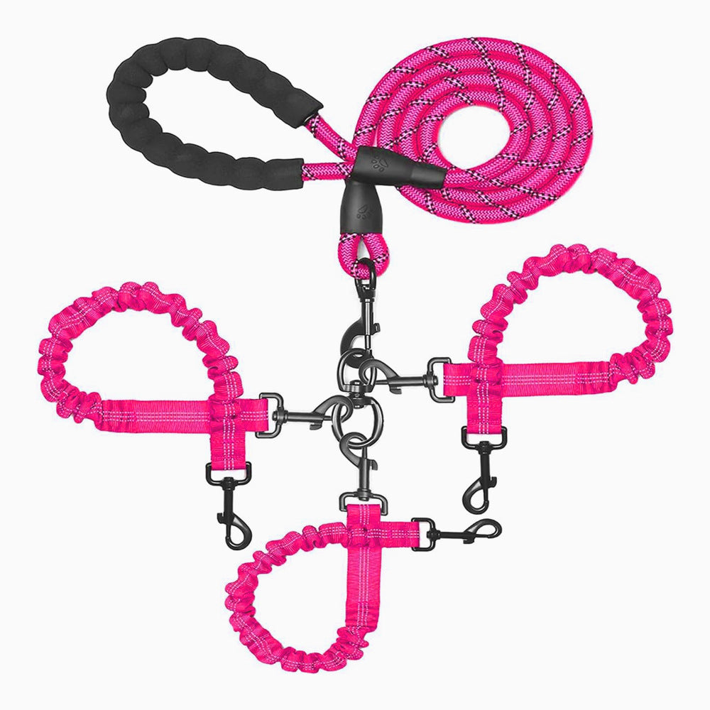 Elastic dog leads with reflective strips in ten colours