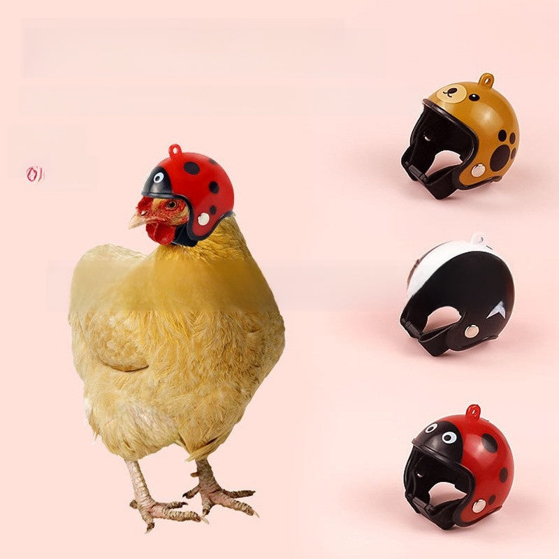 Anti-Pecking Helmet for Chickens and Birds, Cute Animal Designs