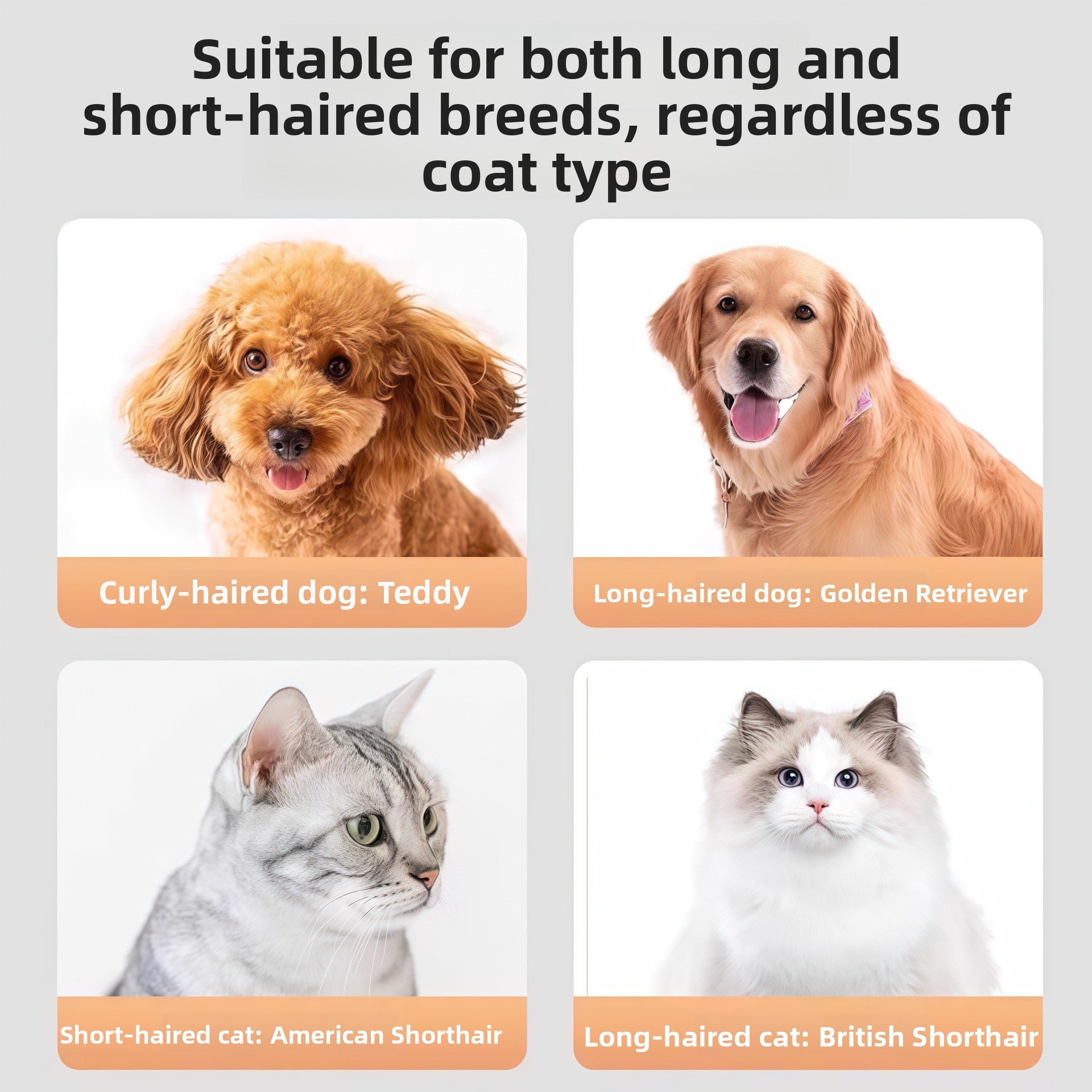Electric Pet Hair Trimmer Set for Dogs and Cats, Complete Kit
