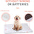 Yellow lamb fleece self-warming pet mat for cats and dogs, photo 3