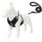 Mesh reflective dog harness, 4 sizes available from Pet Royale UK